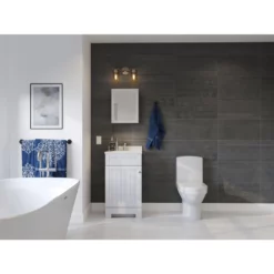 Project Source Style Selections 15.25-in X 19.25-in Rectangle Surface Medicine Cabinet With Mirror -Project Source Shop 113320 44494993