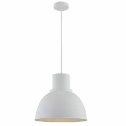Project Source 1 Light Pendant