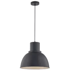 Project Source 1 Light Pendant