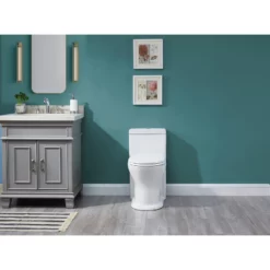 Project Source Dual Flush 1-Piece White Toilet 4 L/6 L 15 Project Source Dual Flush 1-Piece White Toilet 4 L/6 L -Project Source Shop 900744 49886684