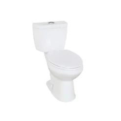 Project Source Evalin 2-Piece White Dual Flush Toilet Of 4.8 L And 6 L