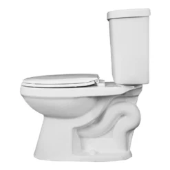 Project Source 2-Piece White China Dual-Flush Toilet Of 4 L And 6 L