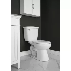 Project Source Shop 31 Project Source Toilet To Grab 2-Piece Round Front White Toilet - 6 L