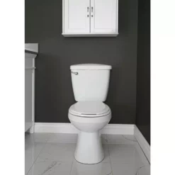 Project Source Toilet To Grab 2-Piece Round Front White Toilet - 6 L -Project Source Shop 901024 15364803 001