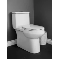 Project Source Lynton 1-Piece Toilet - Elongated - 3-L /4.8-L - White 15 Project Source Lynton 1-Piece Toilet - Elongated - 3-L /4.8-L - White -Project Source Shop 901027 15364008