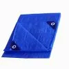 Project Source Blue Tarpaulin In Polyethylene Of 15-ft X 20-ft